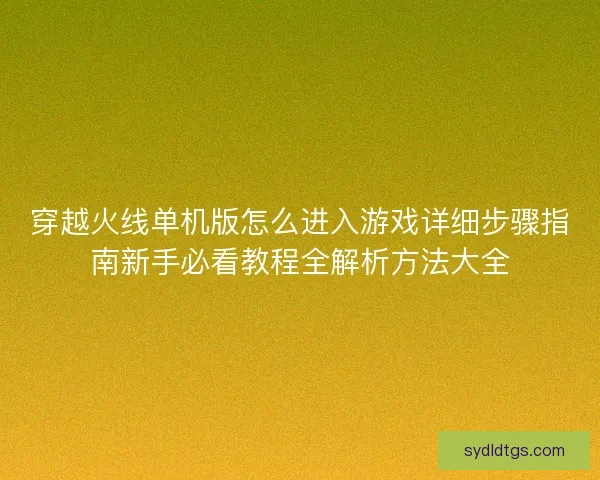 穿越火线单机版怎么进入游戏详细步骤指南新手必看教程全解析方法大全
