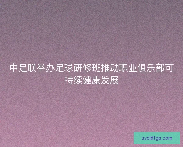 中足联举办足球研修班推动职业俱乐部可持续健康发展