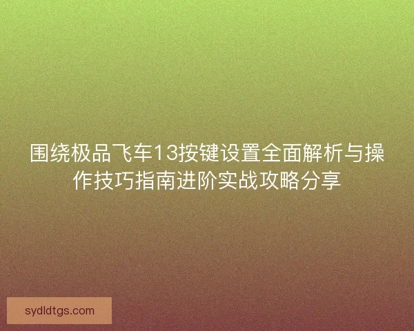 围绕极品飞车13按键设置全面解析与操作技巧指南进阶实战攻略分享