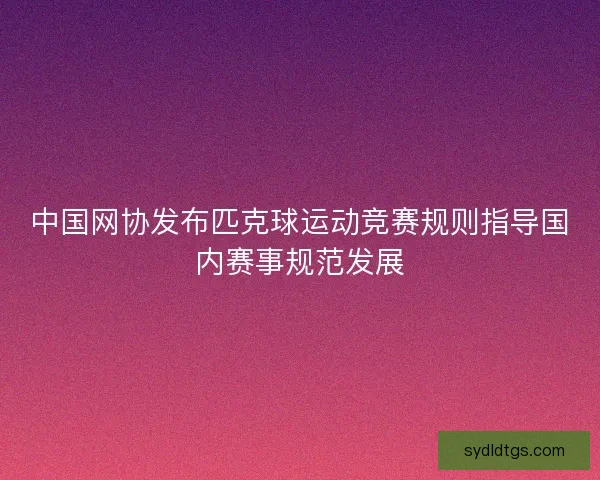 中国网协发布匹克球运动竞赛规则指导国内赛事规范发展 中国网协发布匹克球运动竞赛规则指导国内赛事规范发展